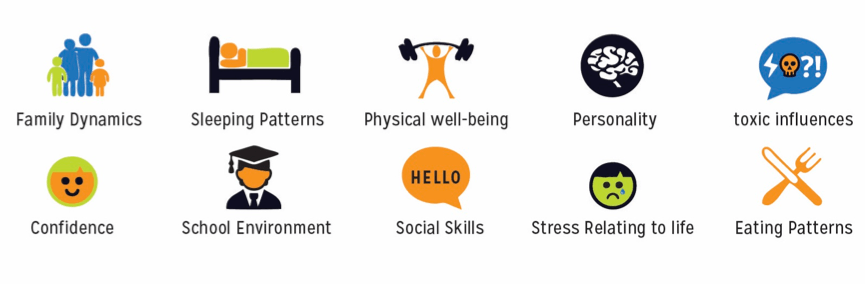 assessment - Lifestyle Assessment